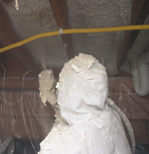 San Buenaventura CA crawl space insulation