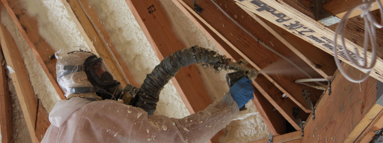 San Buenaventura California Attic Insulation Spray Foam